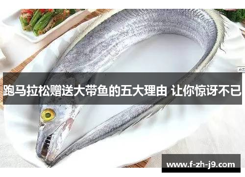 跑马拉松赠送大带鱼的五大理由 让你惊讶不已